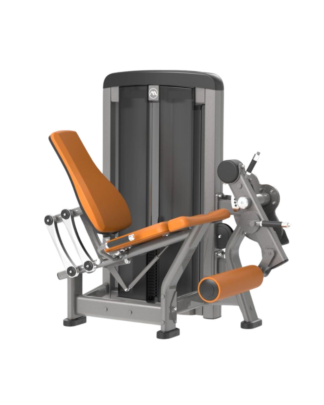 Design sem nome (32)